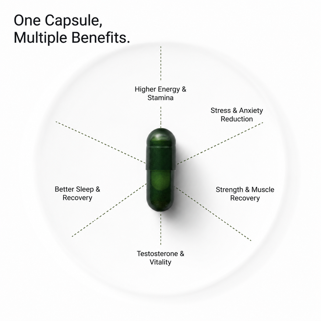 BE ALPHA Trial Pack (30 Capsules)